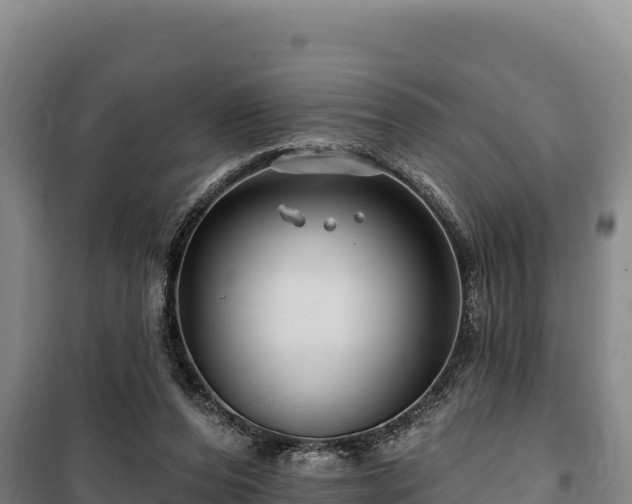 X0000100210208200806061353