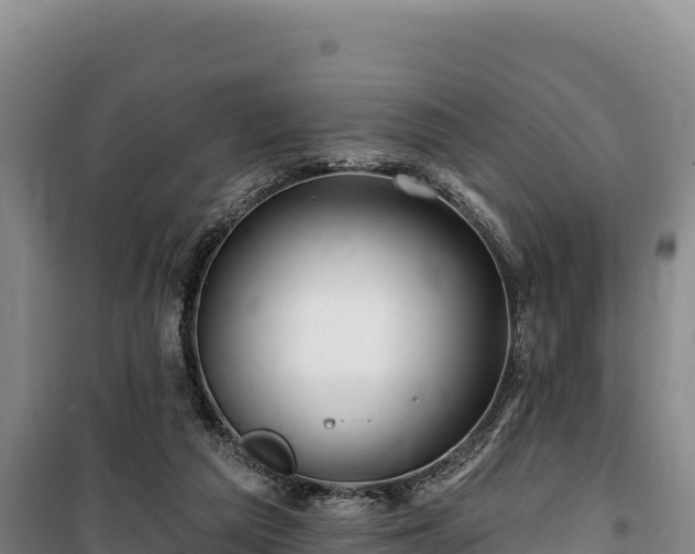 X0000100210209200806061353