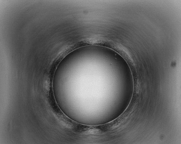 X0000100210210200806061353