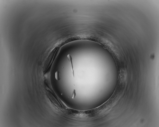 X0000100210212200806061353