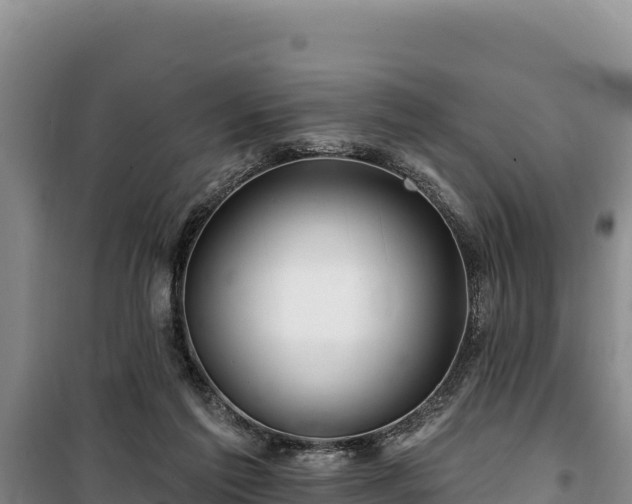 X0000100210213200806061353