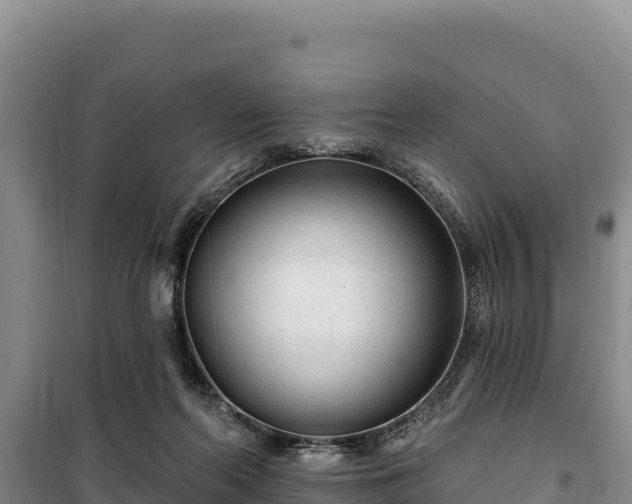 X0000100210214200806061353