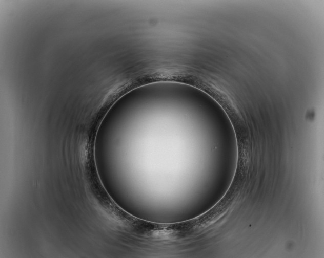 X0000100210216200806061353