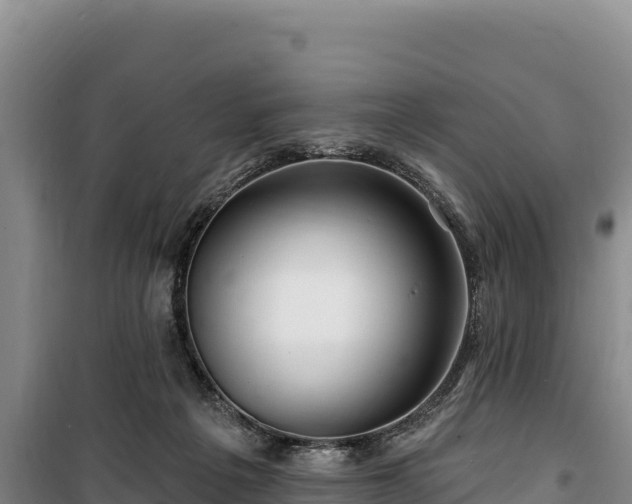 X0000100210217200806061353