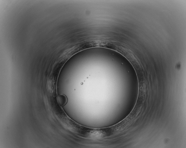 X0000100210218200806061353