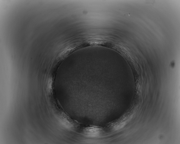 X0000100210219200806061353