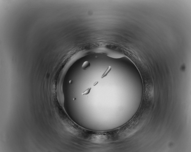 X0000100210220200806061353