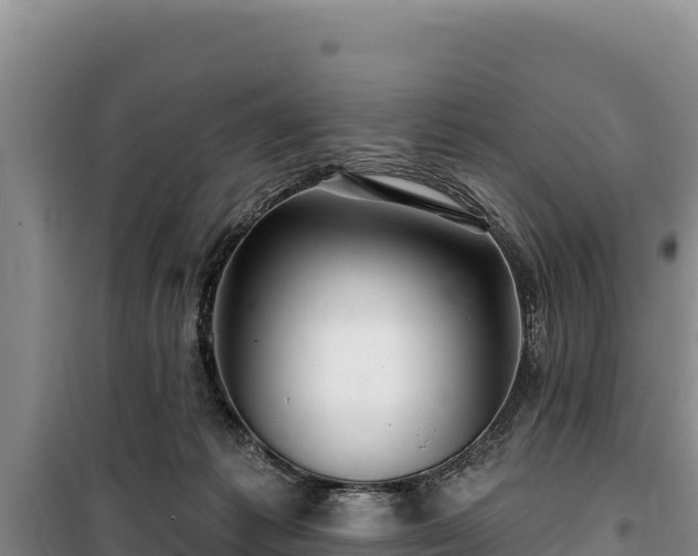 X0000100210221200806061353