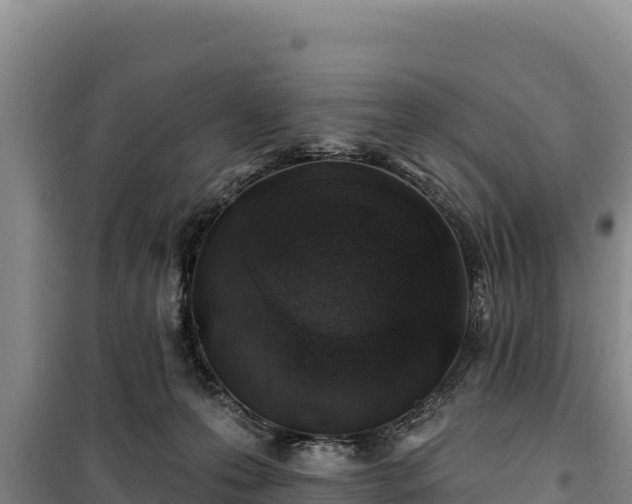 X0000100210223200806061353