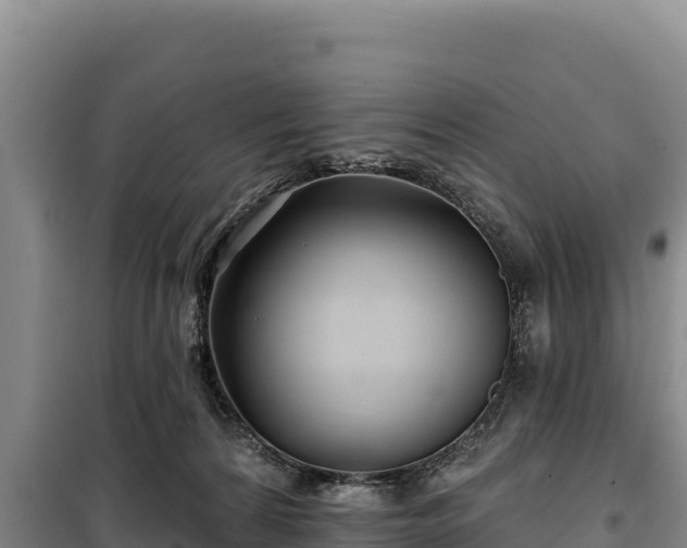 X0000100210224200806061353