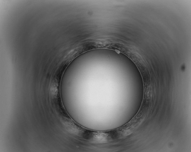 X0000100210226200806061353