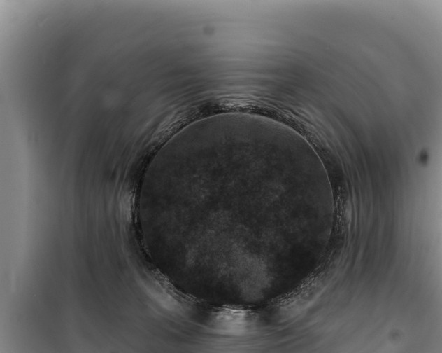 X0000100210227200806061353