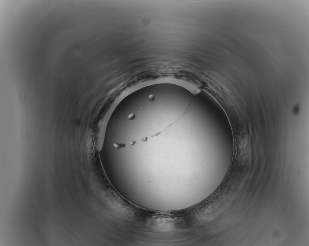 X0000100210228200806061353