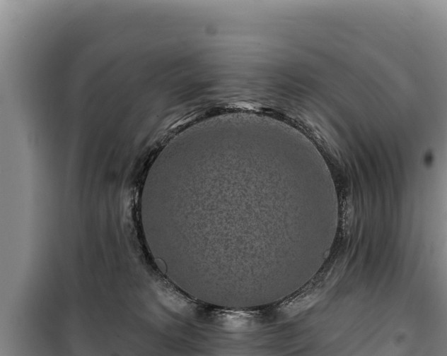 X0000100210229200806061353