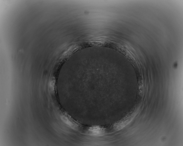 X0000100210231200806061353