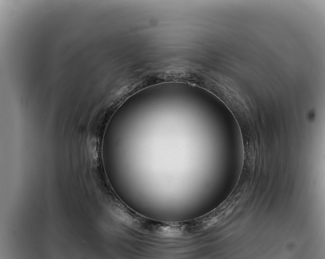 X0000100210232200806061353