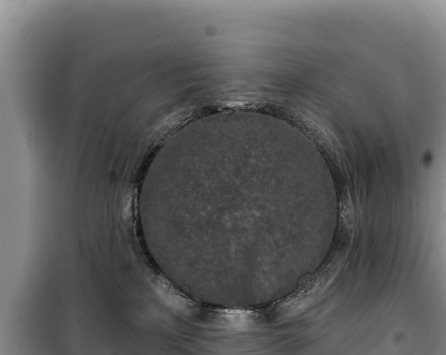 X0000100210233200806061353