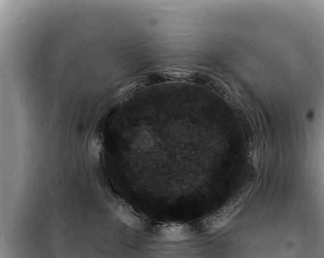 X0000100210235200806061353