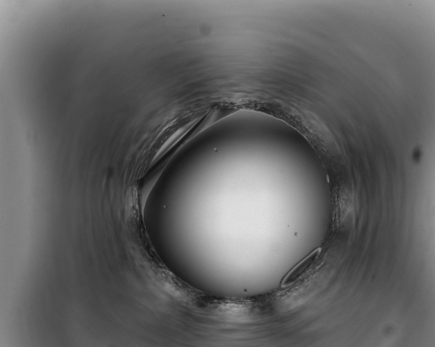 X0000100210236200806061353