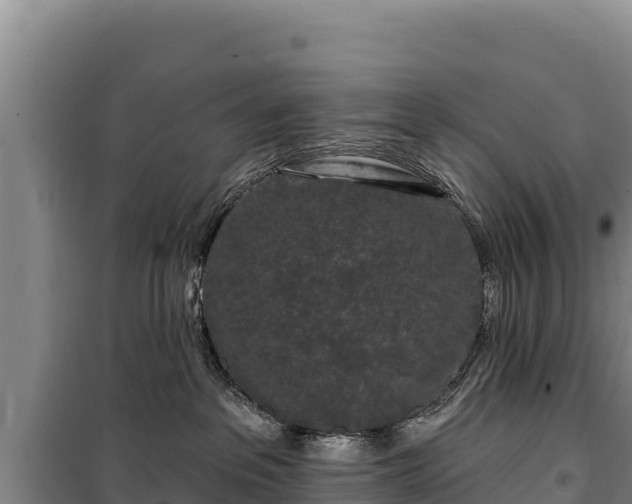 X0000100210237200806061353