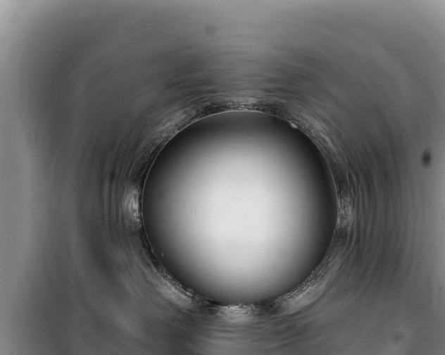 X0000100210238200806061353