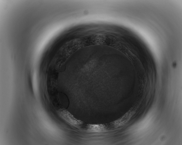 X0000100210239200806061353