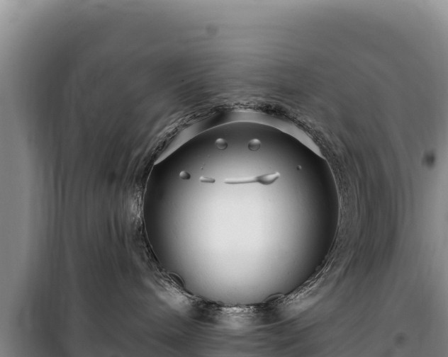 X0000100210240200806061353