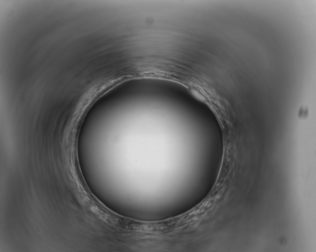 X0000100210241200806061352