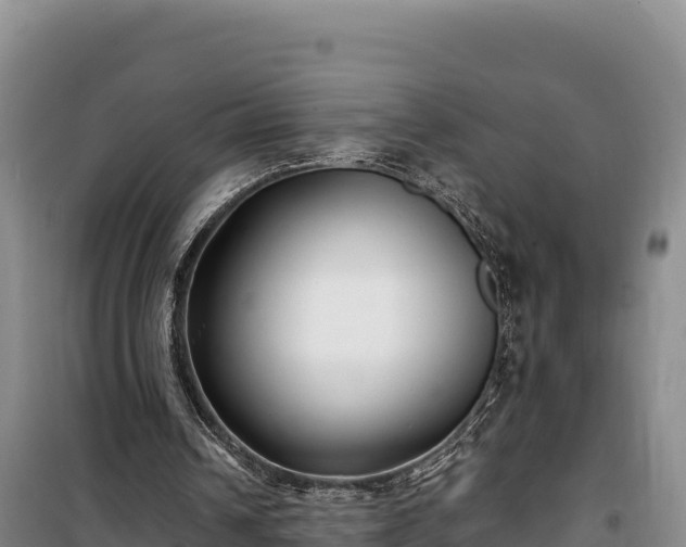 X0000100210242200806061352