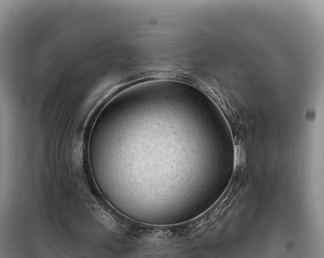 X0000100210243200806061352