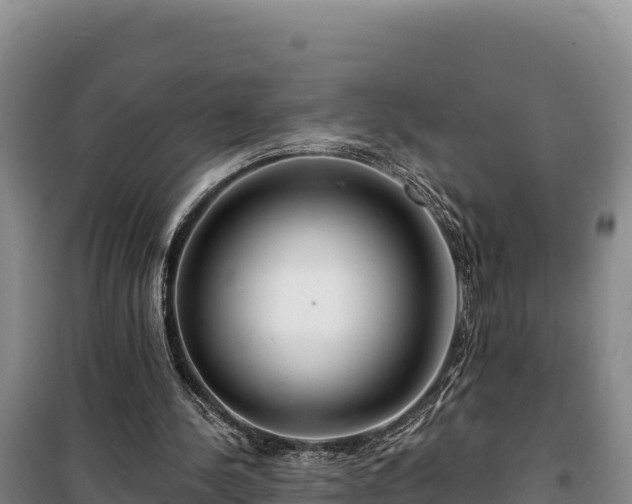 X0000100210244200806061352