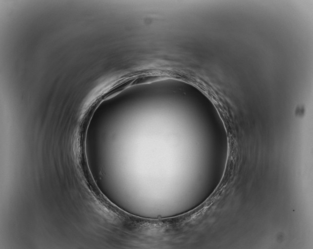 X0000100210245200806061352