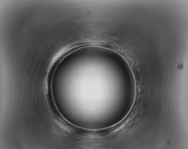 X0000100210246200806061352