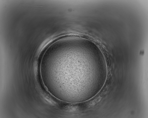 X0000100210247200806061352