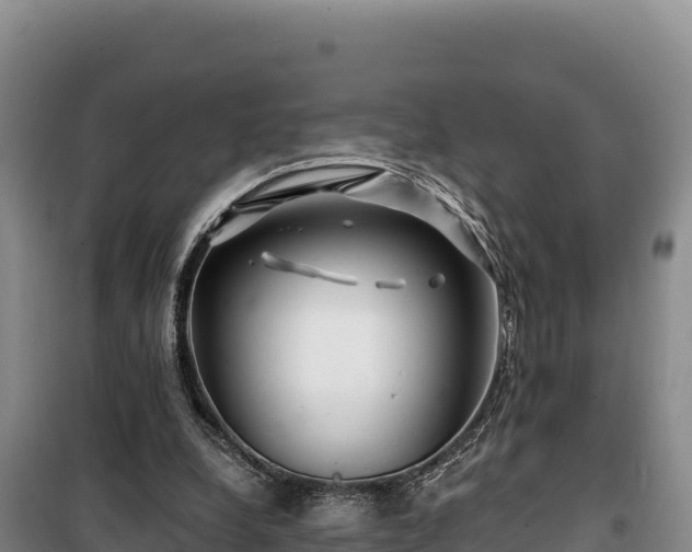 X0000100210248200806061352