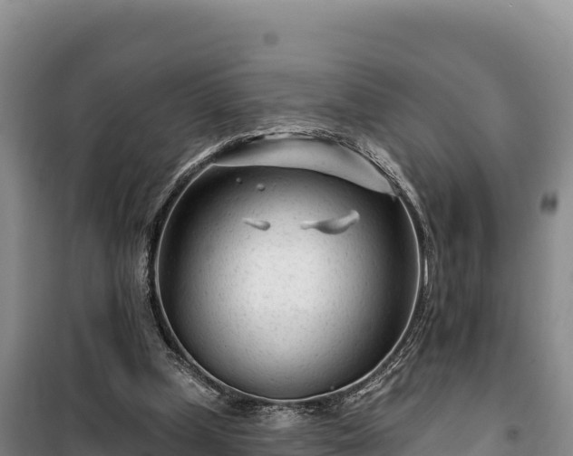 X0000100210249200806061352