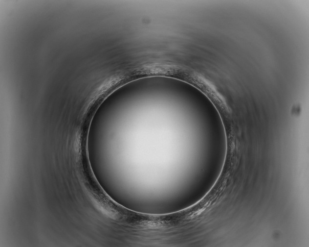 X0000100210250200806061352