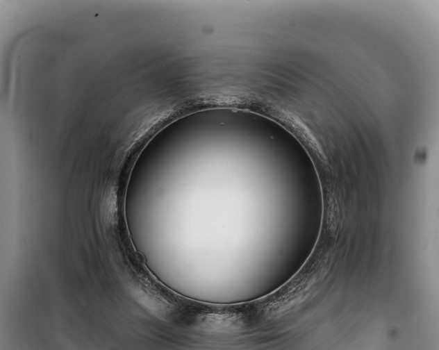 X0000100210251200806061352