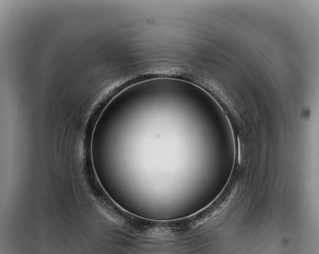 X0000100210252200806061352