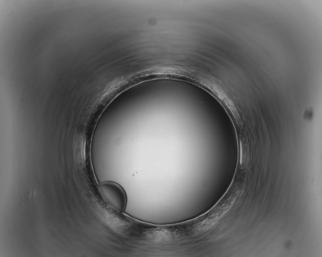 X0000100210253200806061352