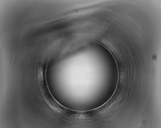 X0000100210254200806061352