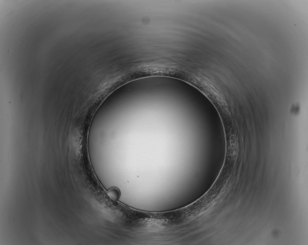 X0000100210255200806061352