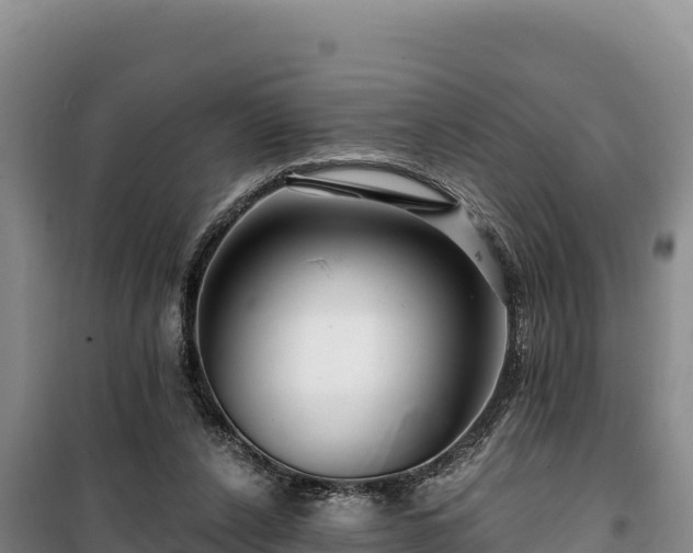 X0000100210256200806061352