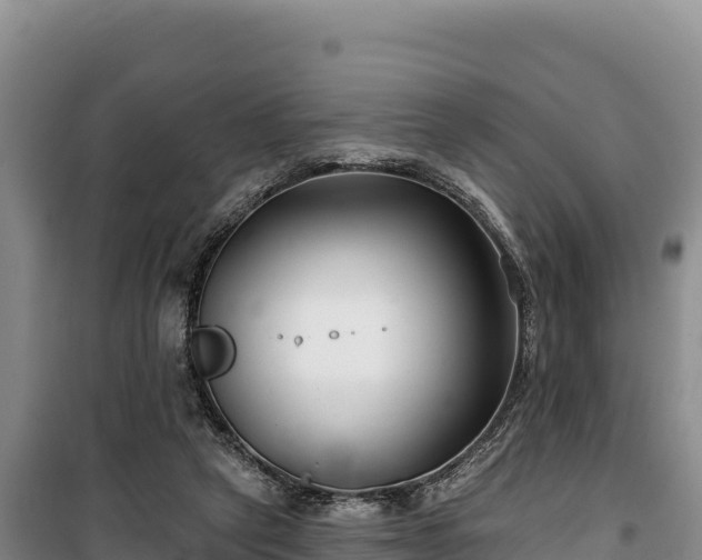 X0000100210257200806061352