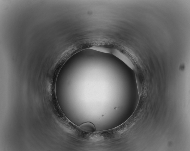 X0000100210258200806061352