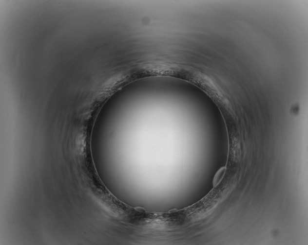 X0000100210259200806061352