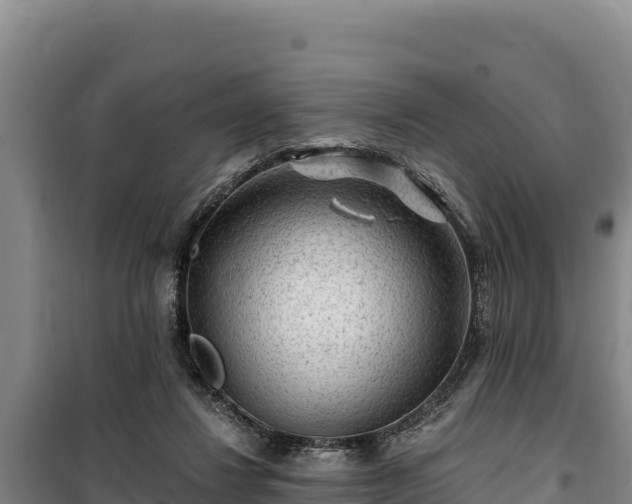 X0000100210260200806061352