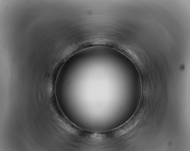 X0000100210261200806061352