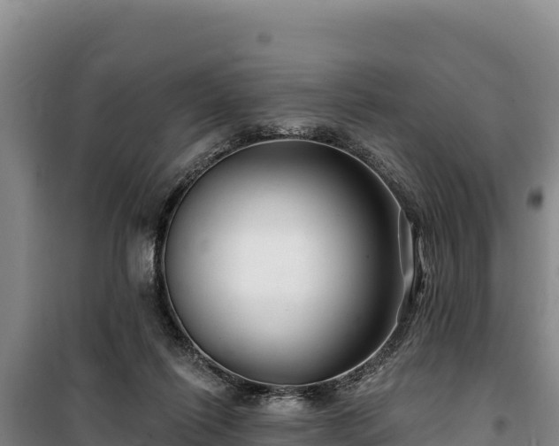 X0000100210262200806061352