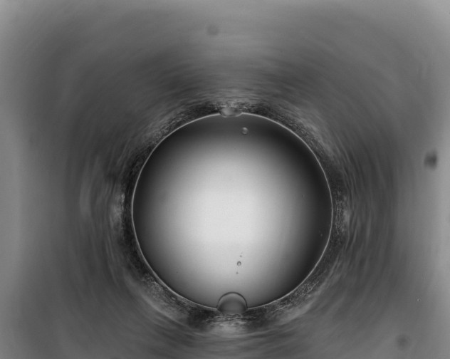 X0000100210263200806061352